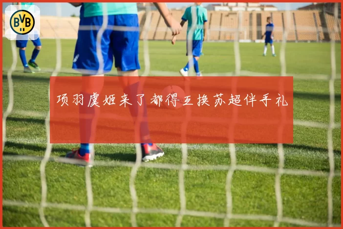 项羽虞姬来了都得互换苏超伴手礼