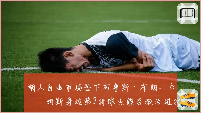 湖人自由市场签下布鲁斯·布朗，詹姆斯身边第3持球点能否激活进攻？