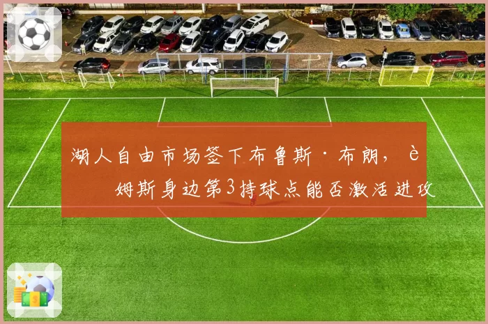 湖人自由市场签下布鲁斯·布朗，詹姆斯身边第3持球点能否激活进攻？
